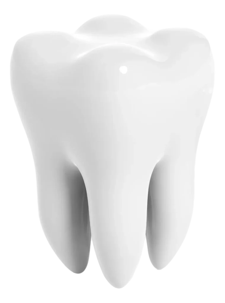 Tooth